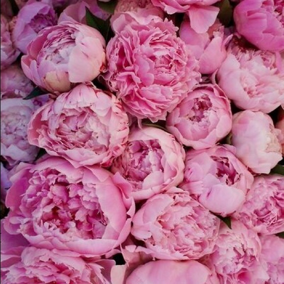 Meet your Posher, Jill a - Picture 1 of 1